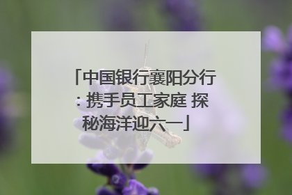 中国银行襄阳分行：携手员工家庭 探秘海洋迎六一