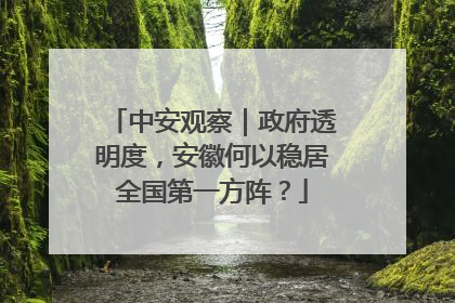 中安观察｜政府透明度，安徽何以稳居全国第一方阵？