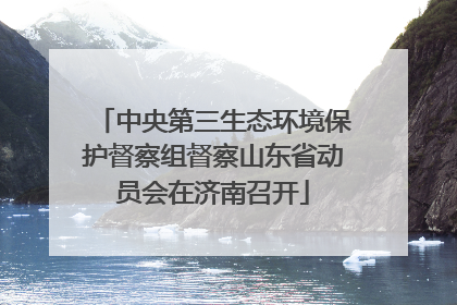 中央第三生态环境保护督察组督察山东省动员会在济南召开
