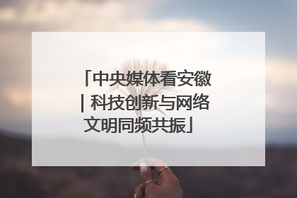 中央媒体看安徽｜科技创新与网络文明同频共振