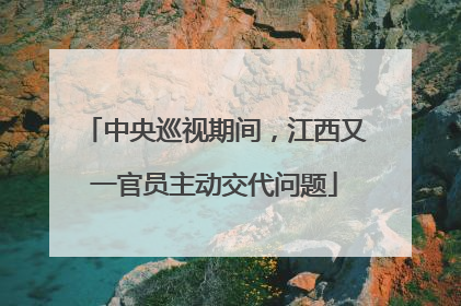 中央巡视期间，江西又一官员主动交代问题
