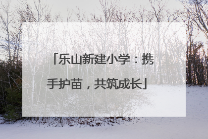 乐山新建小学：携手护苗，共筑成长