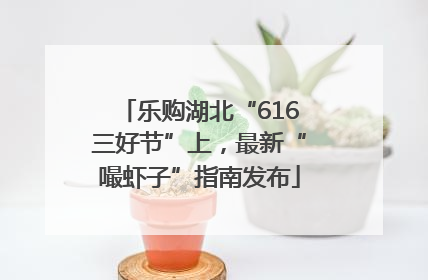 乐购湖北“616三好节”上，最新“嘬虾子”指南发布