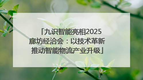 九识智能亮相2025廊坊经洽会：以技术革新推动智能物流产业升级