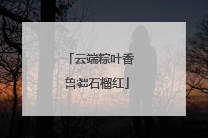 云端粽叶香 鲁疆石榴红