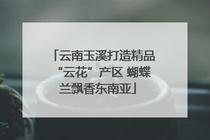 云南玉溪打造精品“云花”产区 蝴蝶兰飘香东南亚