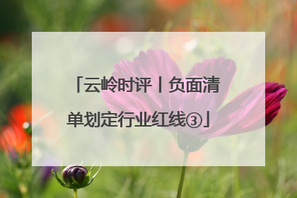 云岭时评丨负面清单划定行业红线③