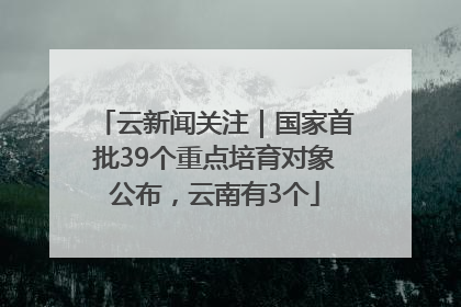 云新闻关注｜国家首批39个重点培育对象公布，云南有3个