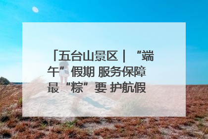 五台山景区｜“端午”假期 服务保障最“粽”要 护航假期“不打烊”