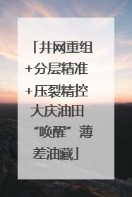 井网重组+分层精准+压裂精控 大庆油田“唤醒”薄差油藏