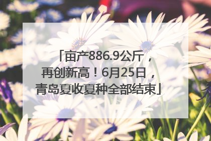 亩产886.9公斤，再创新高！6月25日，青岛夏收夏种全部结束