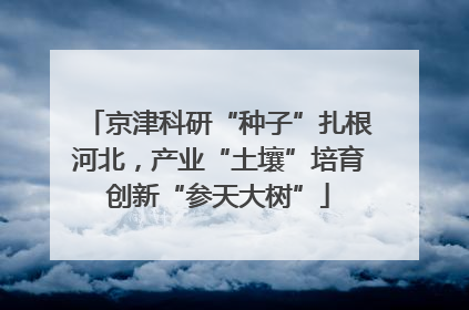 京津科研“种子”扎根河北，产业“土壤”培育创新“参天大树”