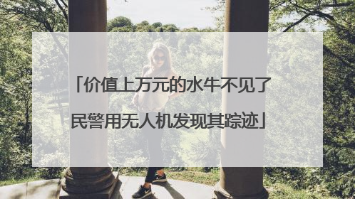 价值上万元的水牛不见了 民警用无人机发现其踪迹