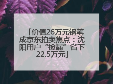 价值26万元钢笔成京东拍卖焦点：沈阳用户“捡漏”省下22.5万元