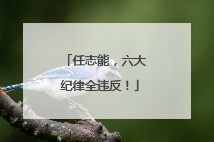 任志能，六大纪律全违反！