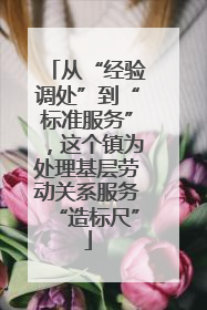 从“经验调处”到“标准服务”，这个镇为处理基层劳动关系服务“造标尺”