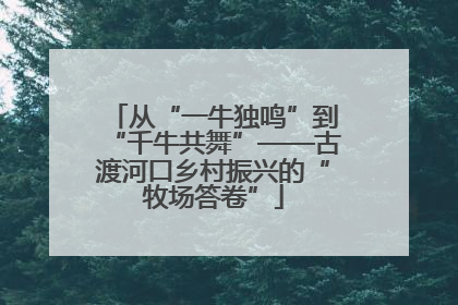 从“一牛独鸣”到“千牛共舞”——古渡河口乡村振兴的“牧场答卷”