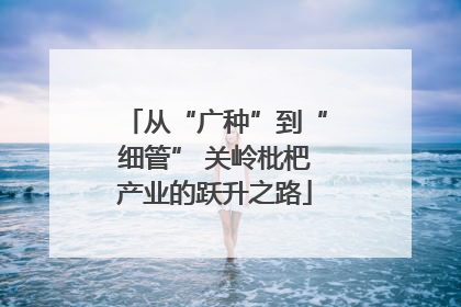 从“广种”到“细管” 关岭枇杷产业的跃升之路