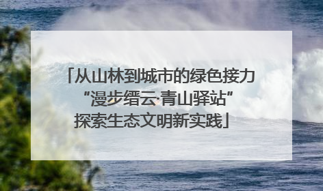 从山林到城市的绿色接力 “漫步缙云·青山驿站”探索生态文明新实践