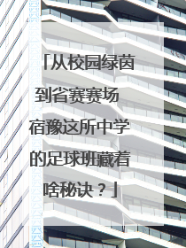从校园绿茵到省赛赛场 宿豫这所中学的足球班藏着啥秘诀？