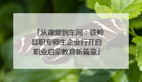 从课堂到车间：铁岭县职专师生企业行开启职业启蒙教育新篇章