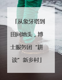 从象牙塔到田间地头，博士服务团“耕读”新乡村