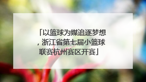 以篮球为媒追逐梦想，浙江省第七届小篮球联赛杭州赛区开赛