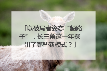 以破局者姿态“趟路子”，长三角这一年探出了哪些新模式？