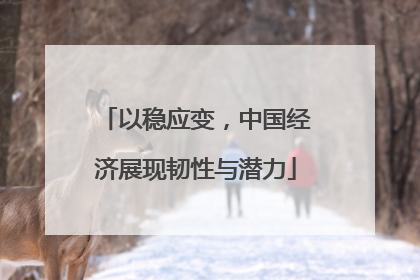 以稳应变，中国经济展现韧性与潜力