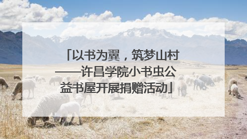 以书为翼，筑梦山村——许昌学院小书虫公益书屋开展捐赠活动