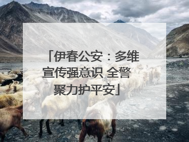 伊春公安：多维宣传强意识 全警聚力护平安