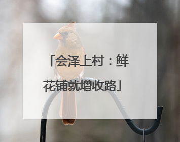 会泽上村：鲜花铺就增收路