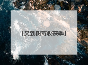 又到树莓收获季