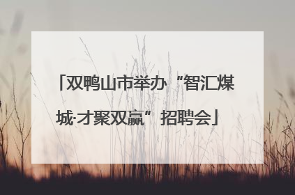 双鸭山市举办“智汇煤城·才聚双赢”招聘会