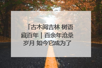 古木阅吉林 树语藏百年｜百余年沧桑岁月 如今它成为了“镇园之宝”
