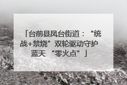 台前县凤台街道：“统战+禁烧”双轮驱动守护蓝天 “零火点”