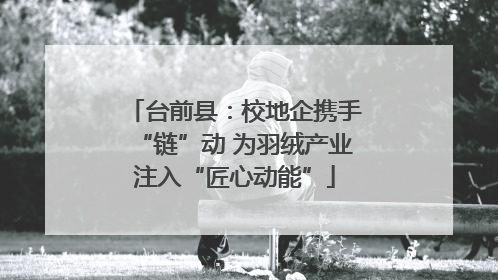 台前县：校地企携手“链”动 为羽绒产业注入“匠心动能”
