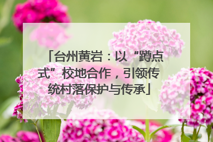 台州黄岩：以“蹲点式”校地合作，引领传统村落保护与传承