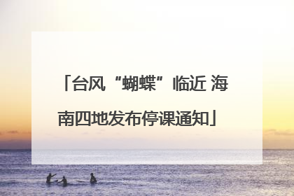 台风“蝴蝶”临近 海南四地发布停课通知