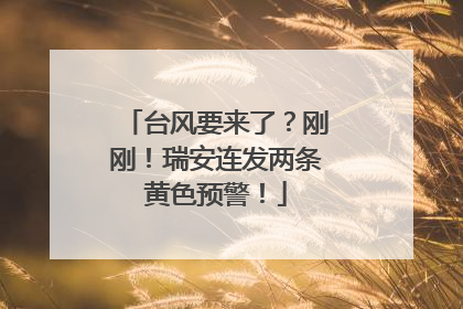 台风要来了？刚刚！瑞安连发两条黄色预警！