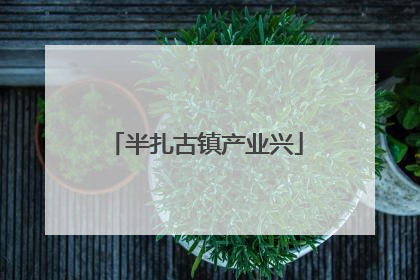 半扎古镇产业兴