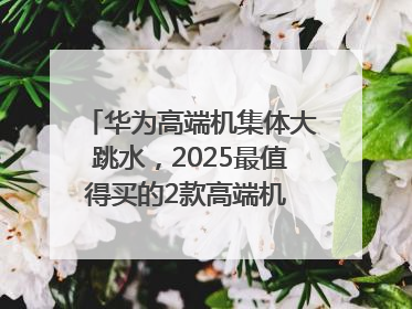 华为高端机集体大跳水，2025最值得买的2款高端机 mate70、pura70如何选？