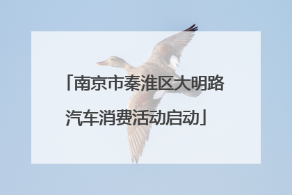 南京市秦淮区大明路汽车消费活动启动