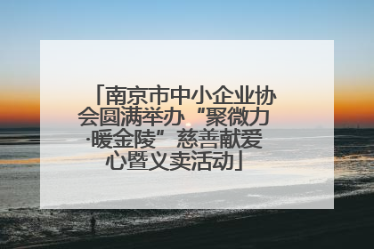 南京市中小企业协会圆满举办“聚微力·暖金陵”慈善献爱心暨义卖活动
