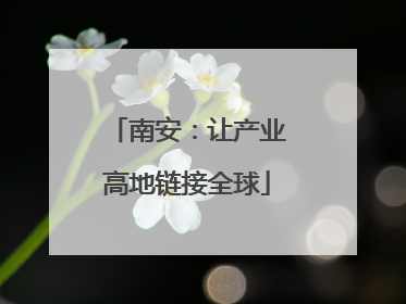 南安：让产业高地链接全球