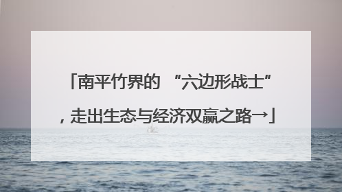 南平竹界的 “六边形战士”，走出生态与经济双赢之路→