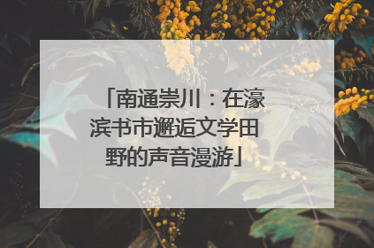 南通崇川：在濠滨书市邂逅文学田野的声音漫游