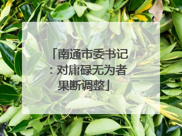 南通市委书记：对庸碌无为者果断调整