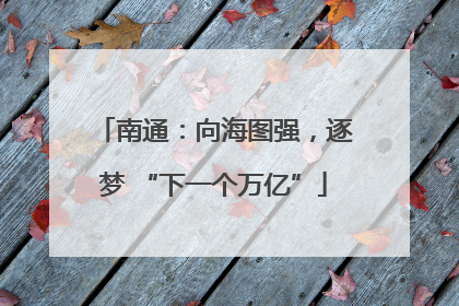 南通：向海图强，逐梦 “下一个万亿”