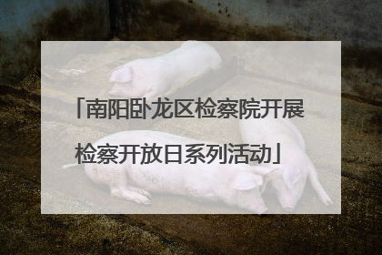 南阳卧龙区检察院开展检察开放日系列活动